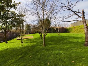 Garden- click for photo gallery